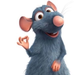 Meet your Posher, Sophie